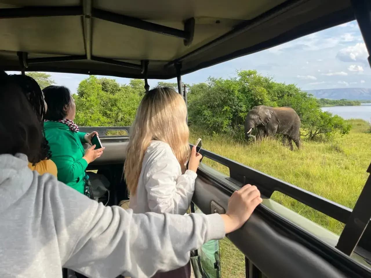 Wildlife on the plains of Akagera National Park — photo 1