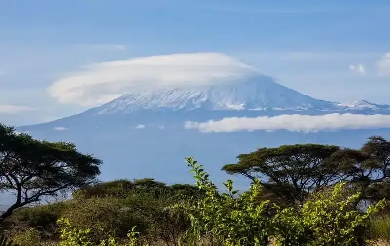 Elephants on the plains of Amboseli with Kilimanjaro behind — photo 1