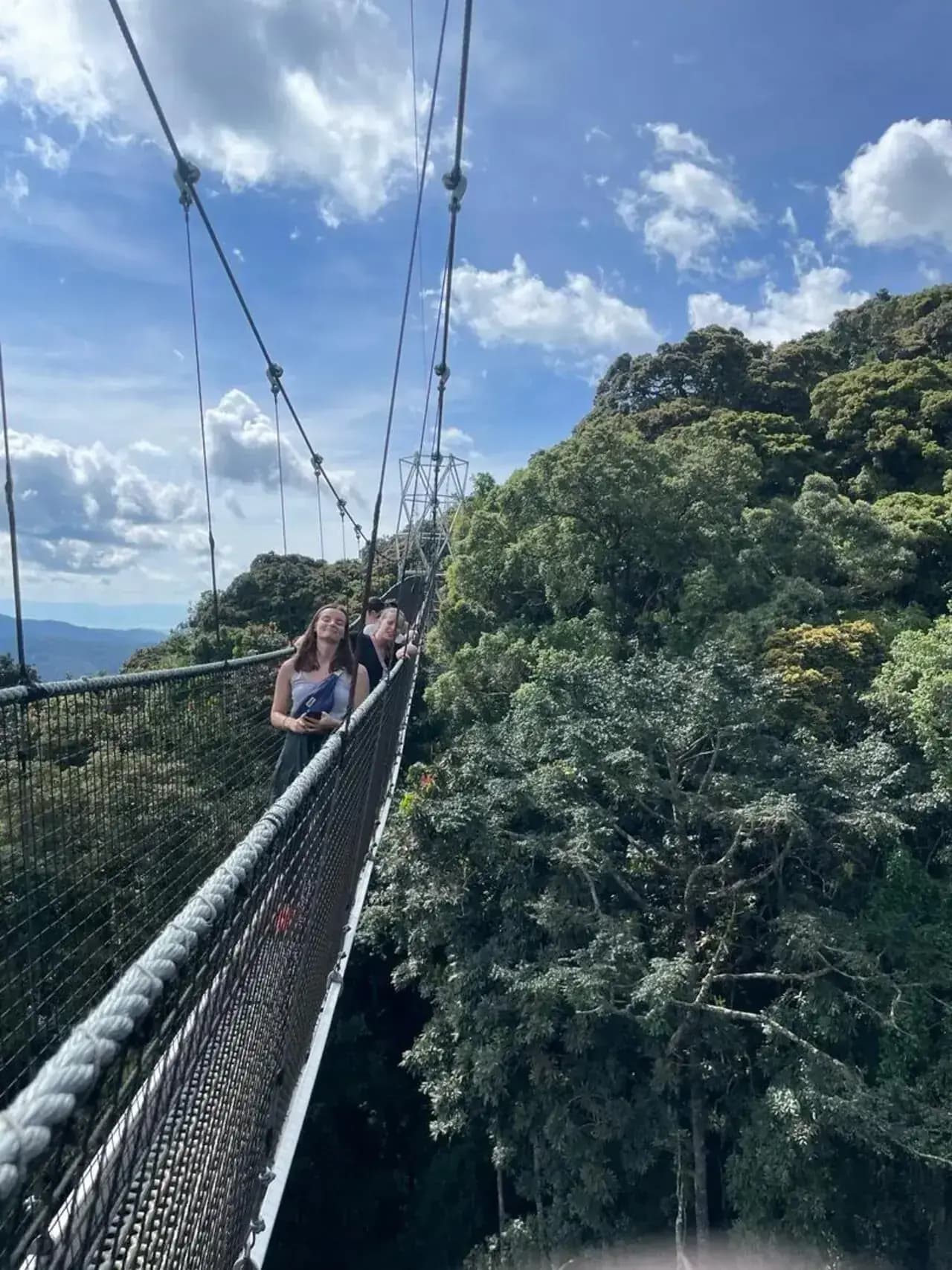 The Nyungwe canopy walkway above the rainforest — photo 2