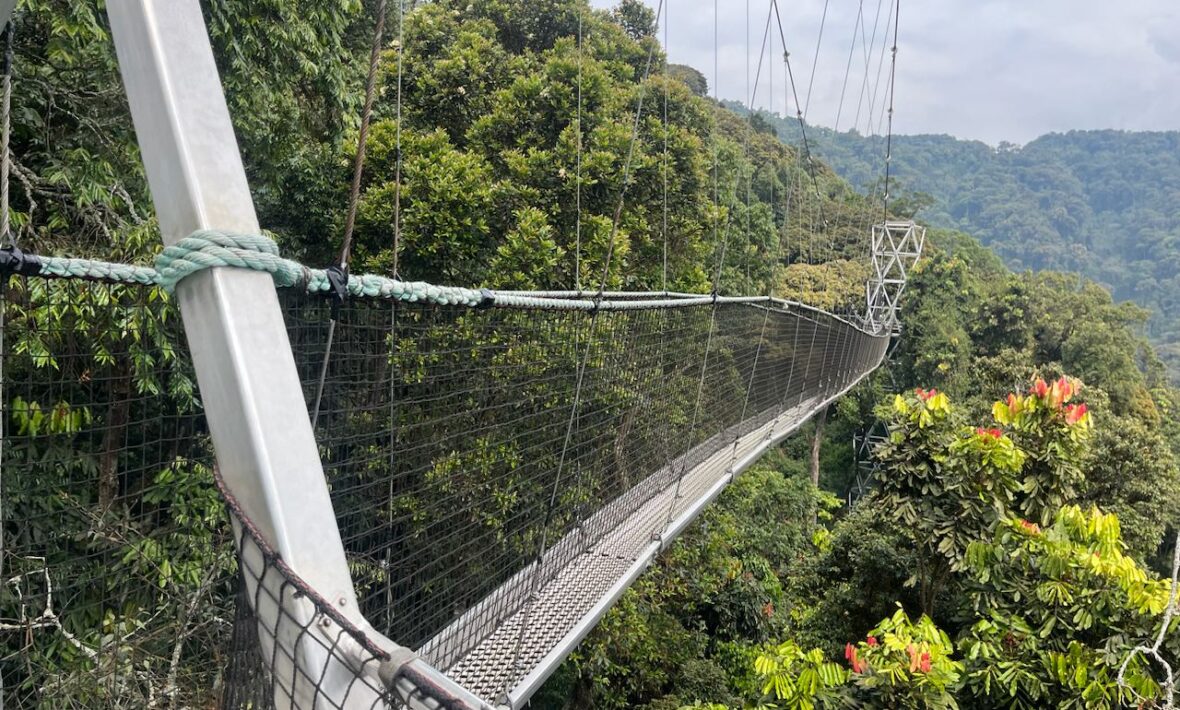 Canopy Walkway-Nyungwe National Park