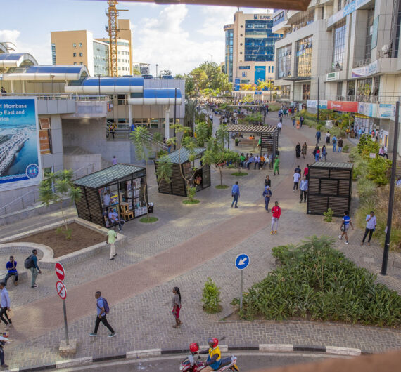 53421731521_678c7d4a30_b