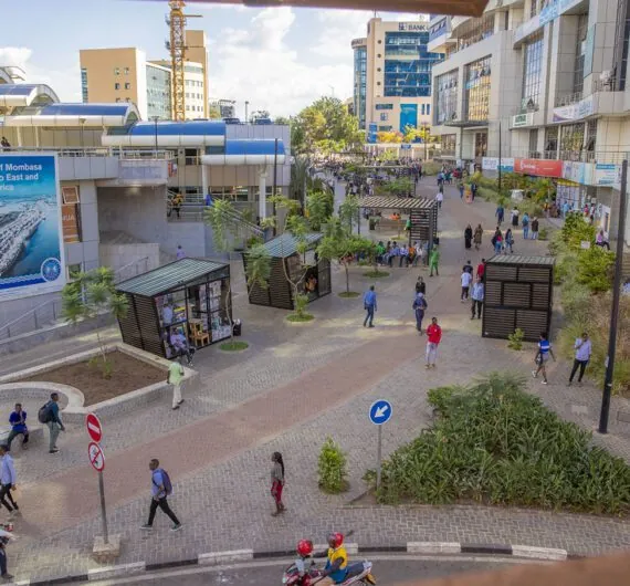 53421731521_678c7d4a30_b