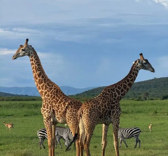 photo_2025-05-29_16-04-50