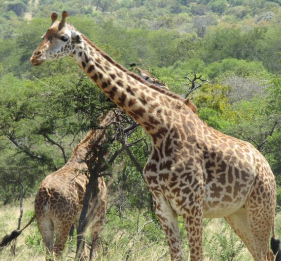photo_2025-06-27_20-33-04