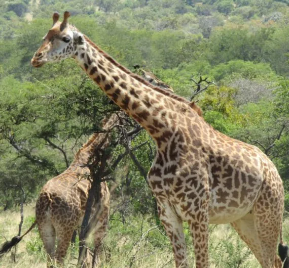 photo_2025-06-27_20-33-04