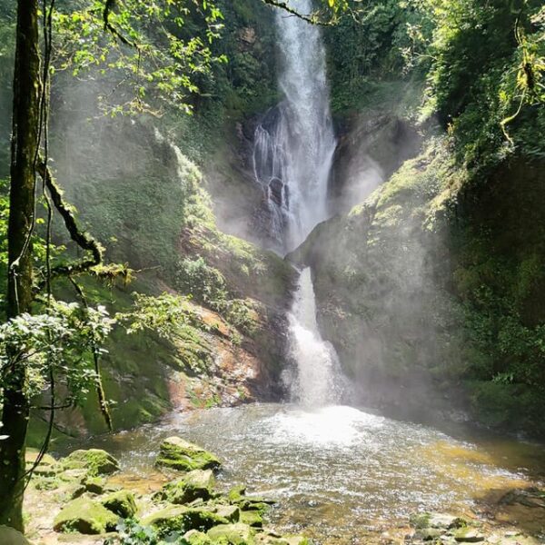 WaterF (1)