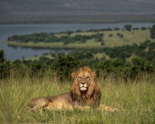 game-viewing-at-magashi